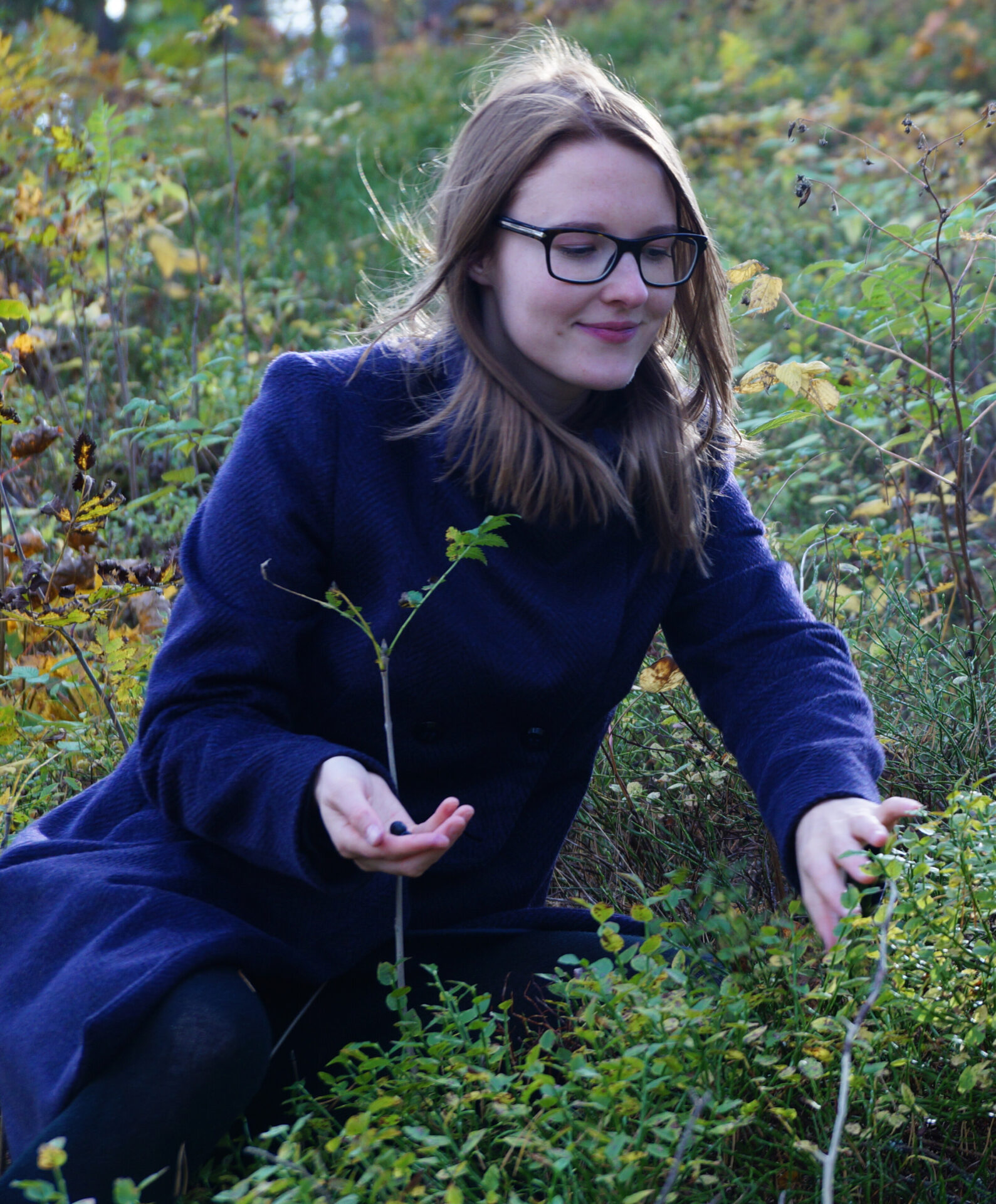 Isabell Fabo sammelt Blaubeeren