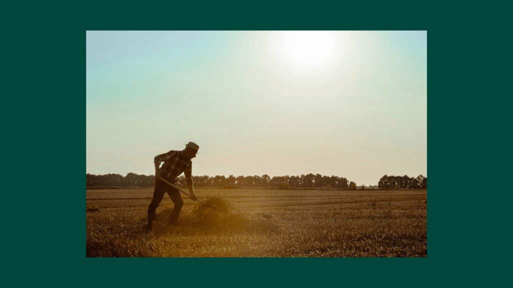Mann arbeitet im Feld