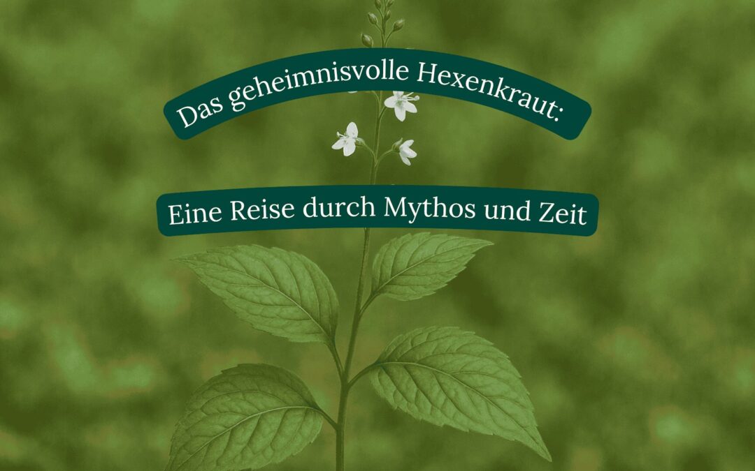Das geheimnisvolle Hexenkraut: Eine Reise durch Mythos und Zeit