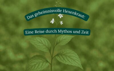 Das geheimnisvolle Hexenkraut: Eine Reise durch Mythos und Zeit